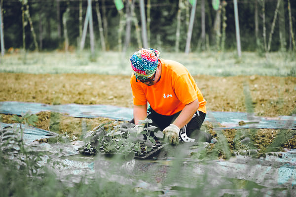 Sam working at the farm