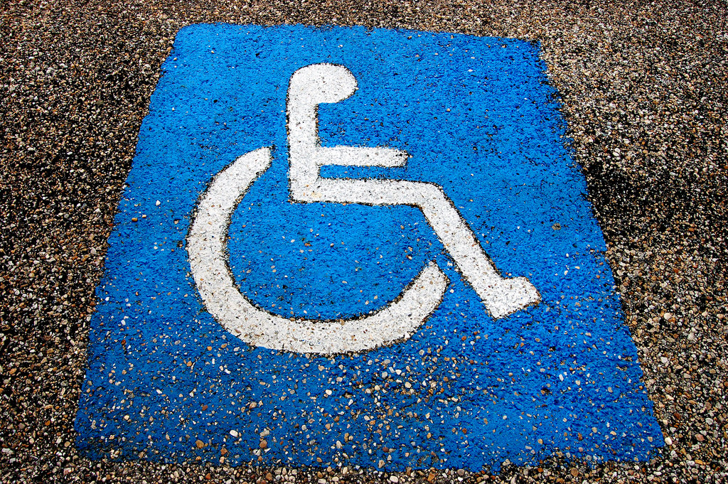 Disability culture and universal human rights 1
